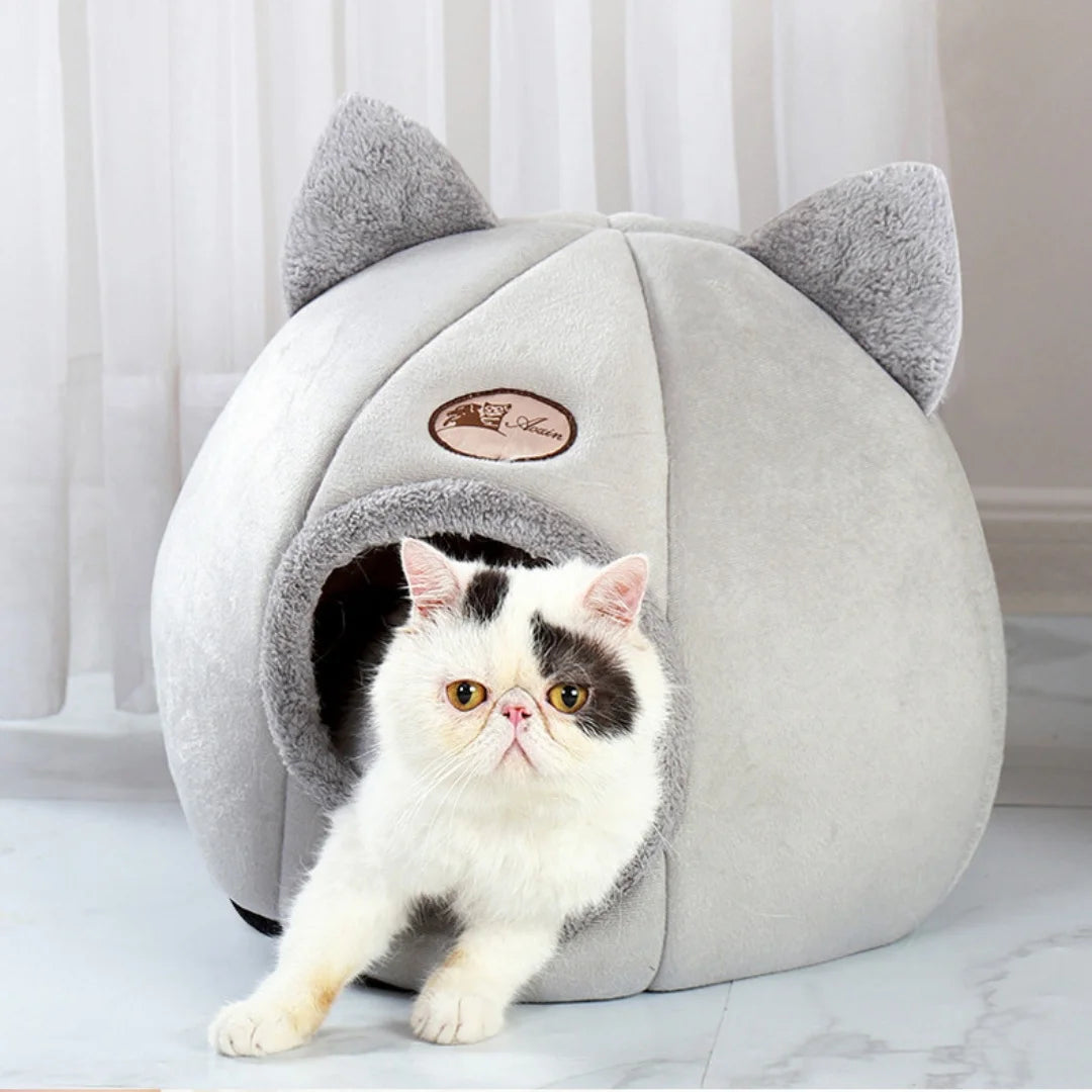 Extremely Comfortable Pet Bed
